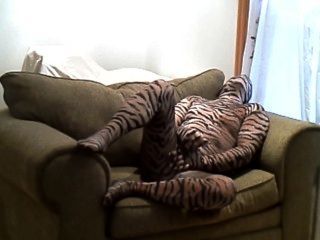 큰 의자에 누워있는 동안 호색한 단단한 호랑이 바보