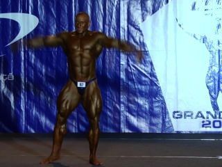 musclebulls : 프로 영양 영양 그랑프리 2014 + 100kg 국제